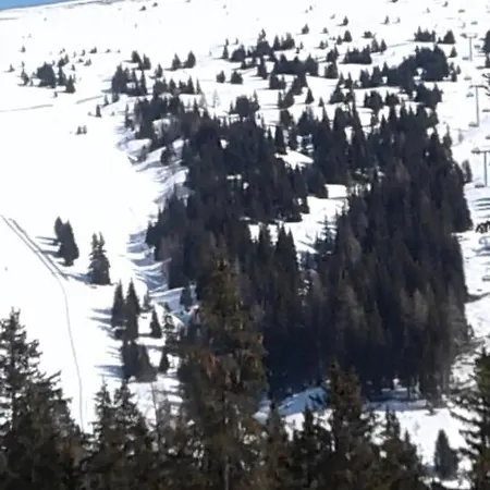 Bio-bauernhof Anawander Mariahof