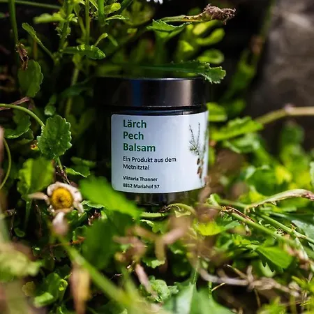 팜스테이 Bio-bauernhof Anawander Mariahof