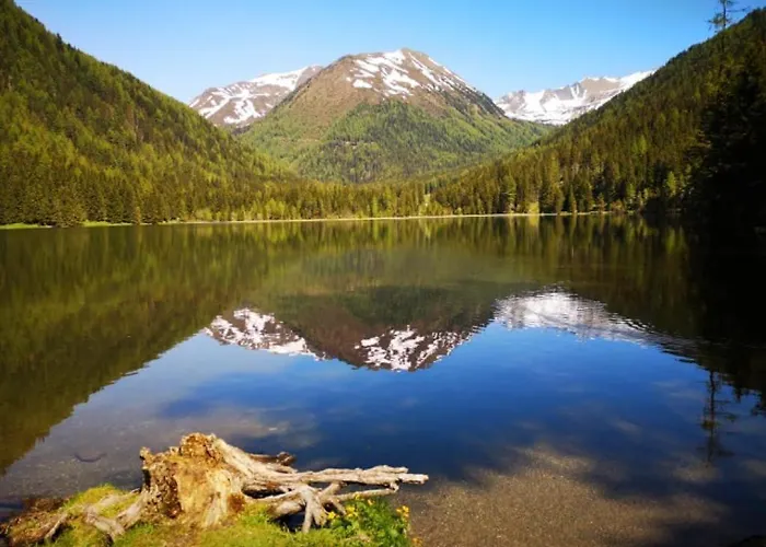 ファームステイ Bio-bauernhof Anawander Mariahof