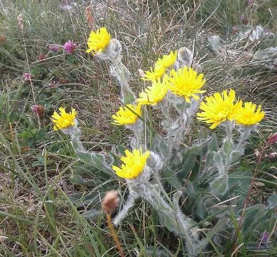 Bio-bauernhof Anawander Alloggio per agriturismo Mariahof