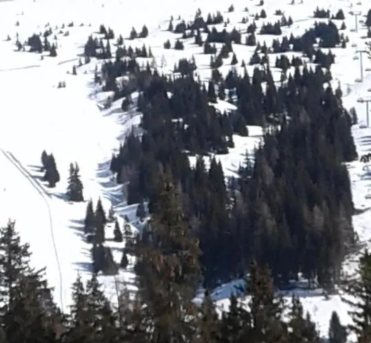 Bio-bauernhof Anawander Mariahof