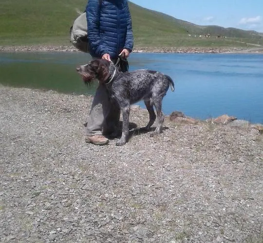 ファームステイ Bio-bauernhof Anawander